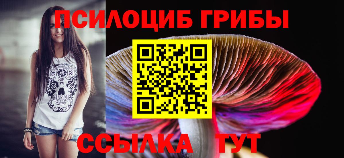 Псилоцибиновые грибы MAGIC MUSHROOMS  Вход с VPN  Ноябрьск 